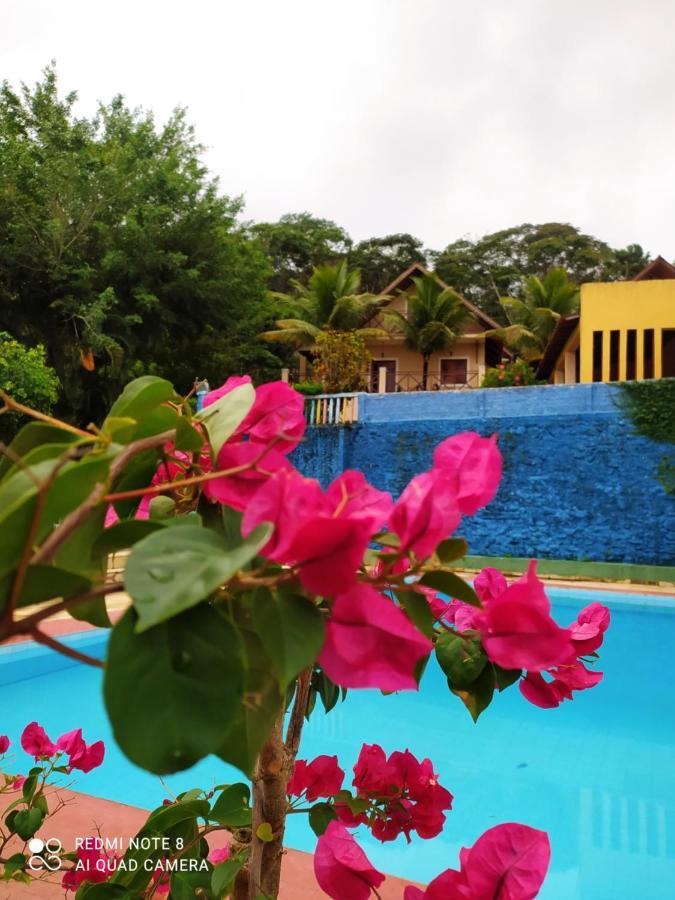 Guaramiranga-Ce Chale Do Rei Villa Exteriör bild